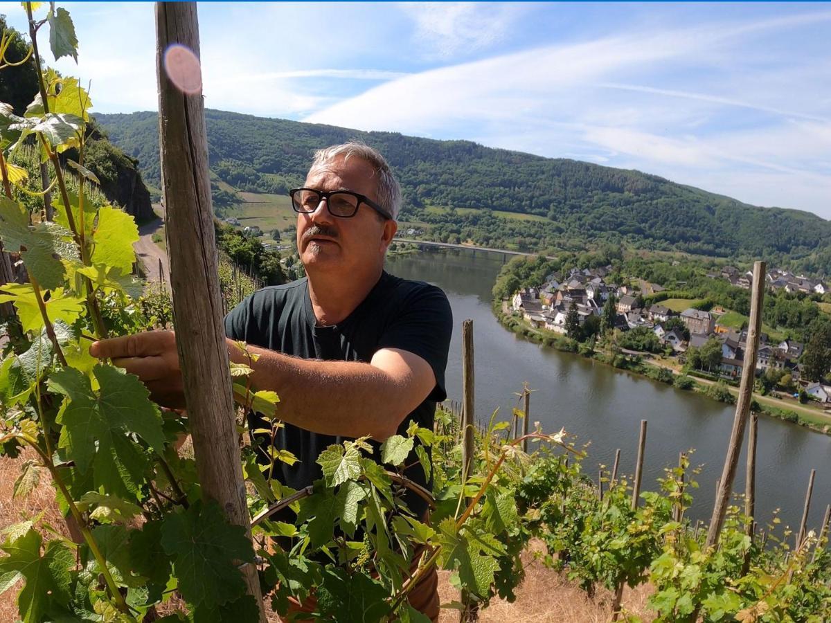 Weingut Und Pension Markus Kochems Mesenich Exteriör bild